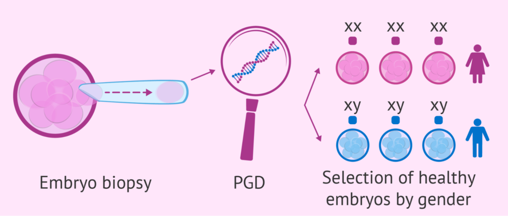 Preimplantation Genetic Testing | PGT Test Cost | PGD | PGS | Hyderabad