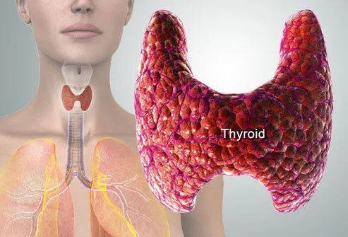 Consult Ziva Fertility Center for Thyroid treatment in Hyderabad, Best fertility clinic near me