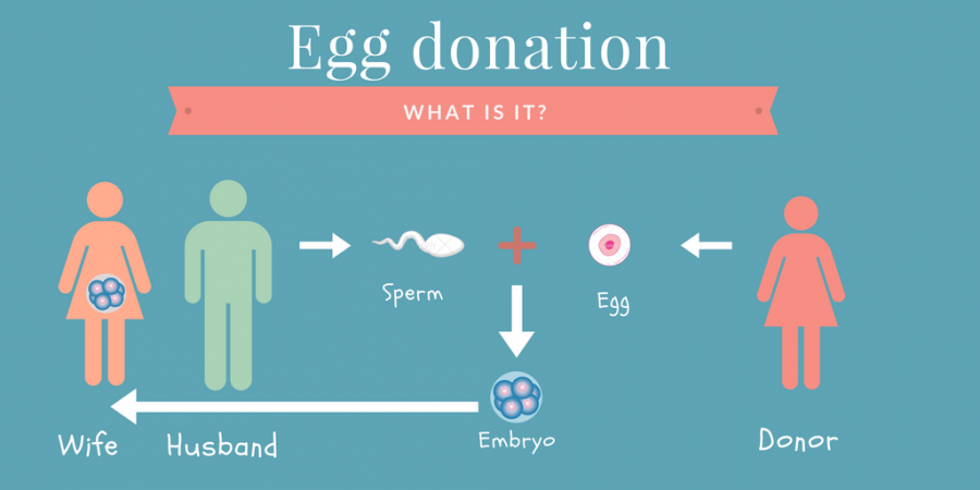 Consult Ivf Specialist near me and get the Best Ivf Treatment with donor eggs in Hyderabad
