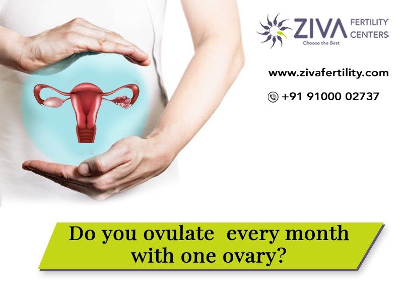 Read more about the article Do you ovulate every month with one ovary?