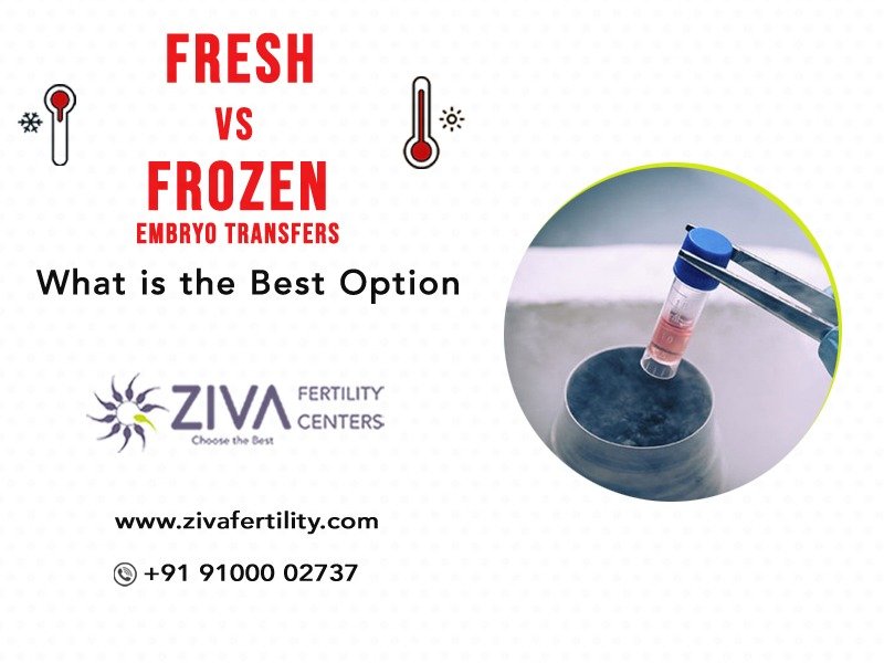 Read more about the article Fresh vs. Frozen Embryo Transfers – What is the Best Option?