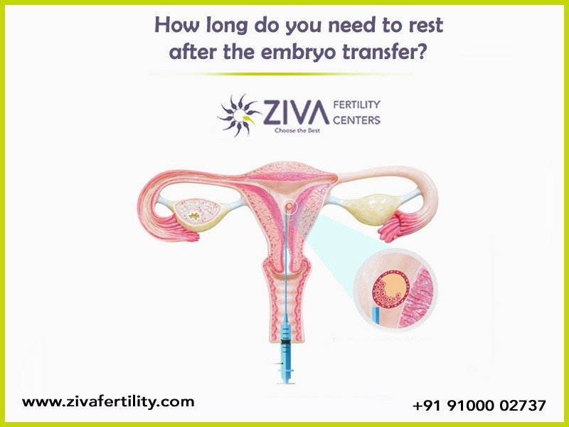 Read more about the article How long do you need to rest after the embryo transfer?