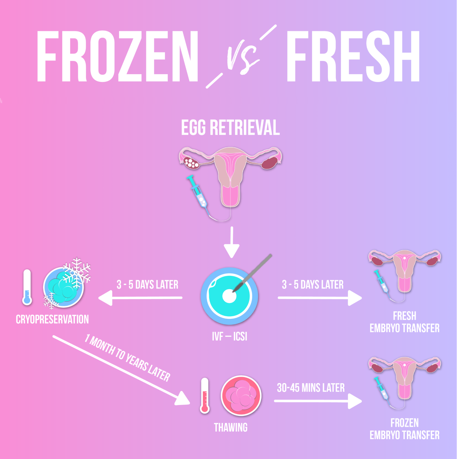 Frozen Embryos As Good As Fresh Embryos