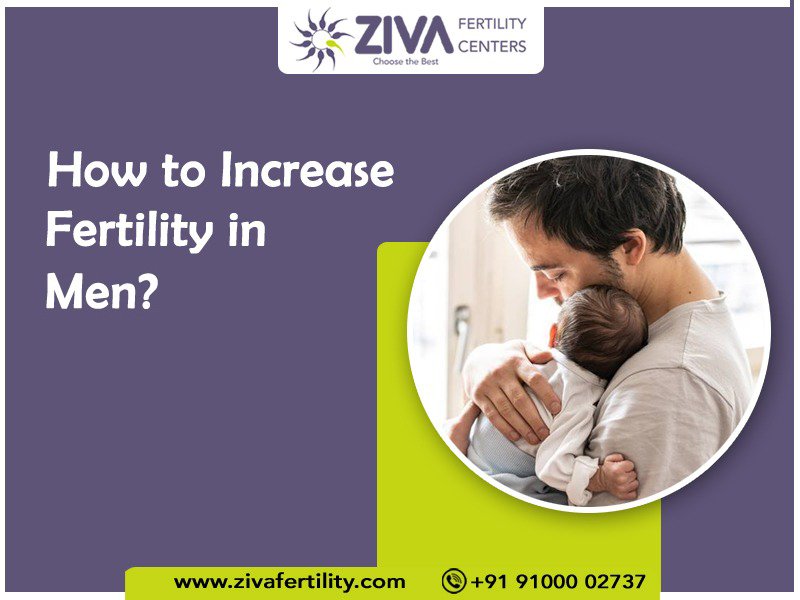 Read more about the article How to Increase Fertility in Men