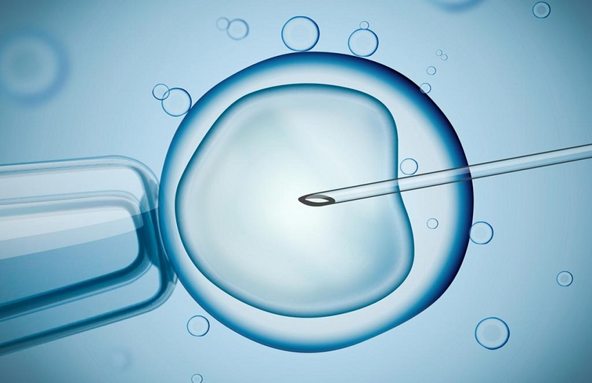 Best tips for After the IVF patients at Ziva Fertility Center Hyderabad, Best IVF In Hyderabad