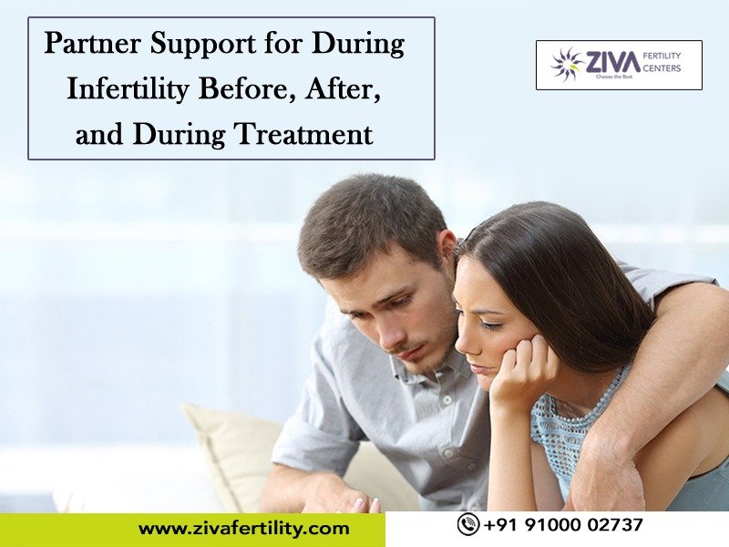 Read more about the article Partner Support for During Infertility Before, After, and During Treatment