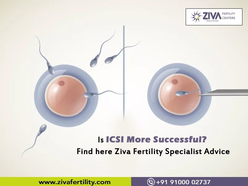 Read more about the article Is ICSI More Successful? Find here Ziva Fertility Specialist Advice