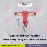 Types of Embryo Transfer: What Everything you Need to Know