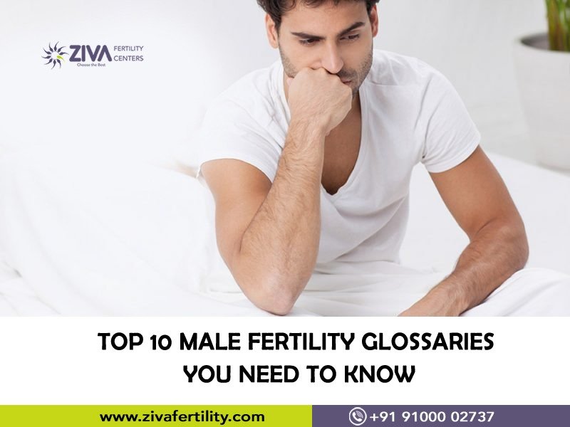 Read more about the article Top 10 Male fertility Glossaries you need to know