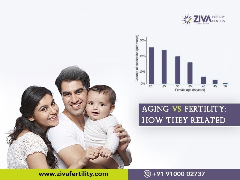 Read more about the article Aging vs Fertility: How they related