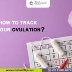 How to track your ovulation?
