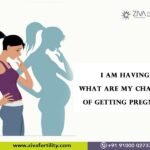 I am having PCOS. What are my chances of getting pregnant?