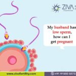 My husband has low sperm, how can I get pregnant?