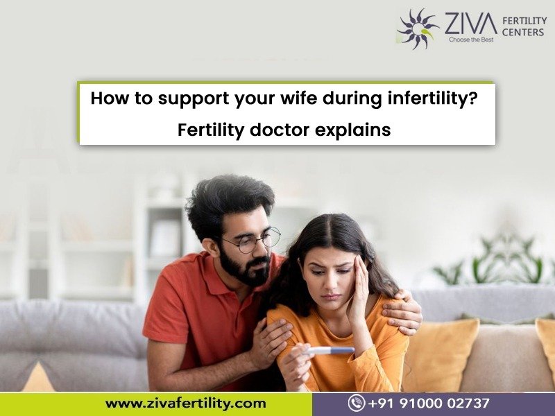 Read more about the article How to support your wife during infertility? Fertility doctor explains