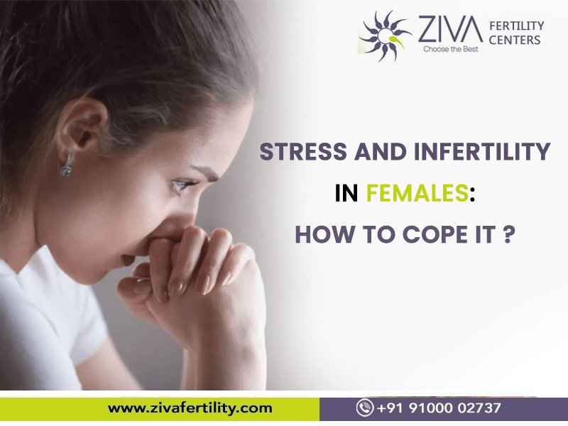 Read more about the article Stress and infertility in females: How to cope with it ?