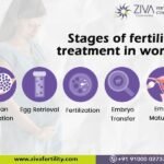 Stages of fertility treatment in women