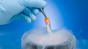 Embryo Freezing