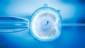 Microuidics IVF