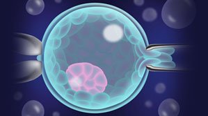 Preimplantation genetic testing