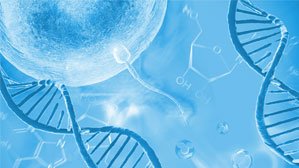 The DNA Fragmentation Index