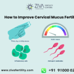 How to Improve Cervical Mucus Fertility?