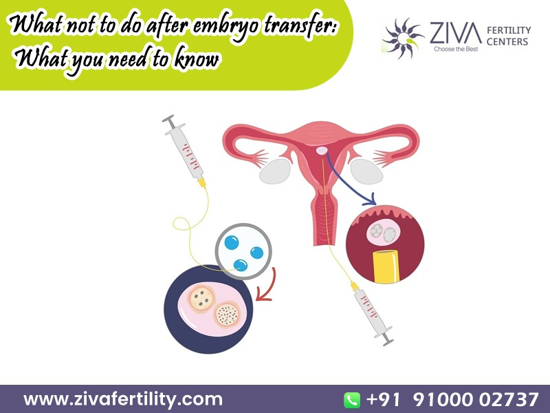 What not to do after embryo transfer What you need to know