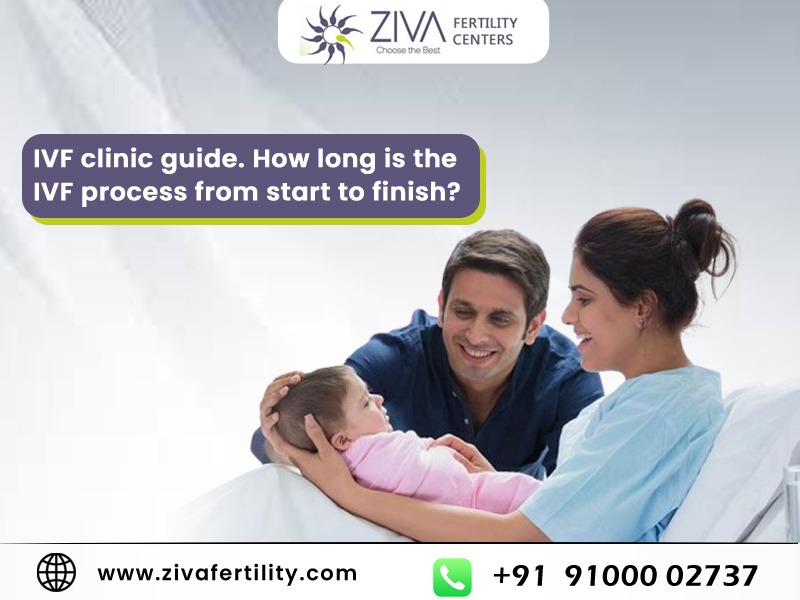 IVF clinic guide. How long is the IVF process from start to finish