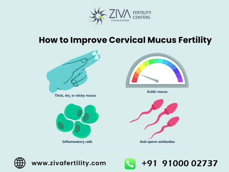 How to Improve Cervical Mucus Fertility