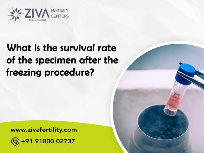 What is the survival rate of the specimen after the freezing procedure?