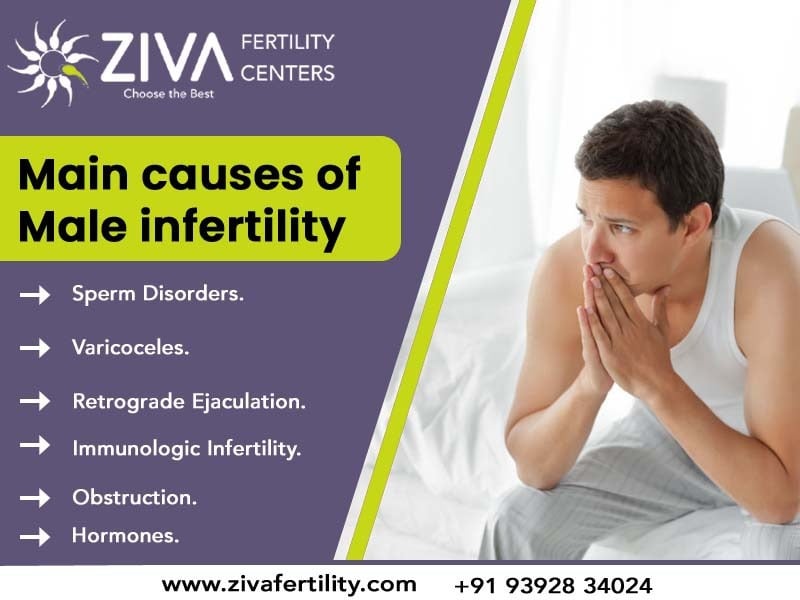 Main Causes of Male Infertility: What You Should Know