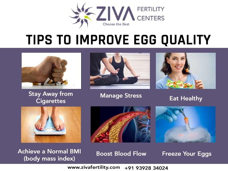 Tips to Improve Egg Quality: What Every Woman Should Know