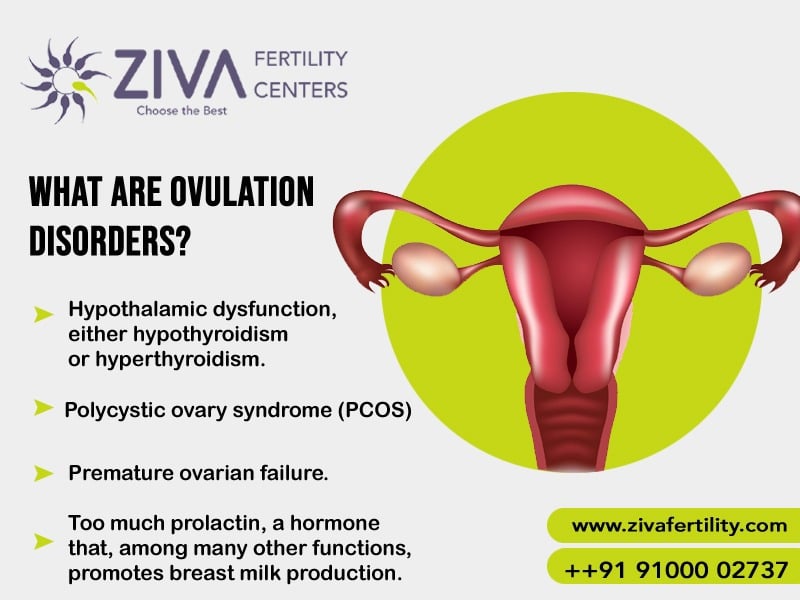 What Are Ovulation Disorders? What Every Woman Should Know