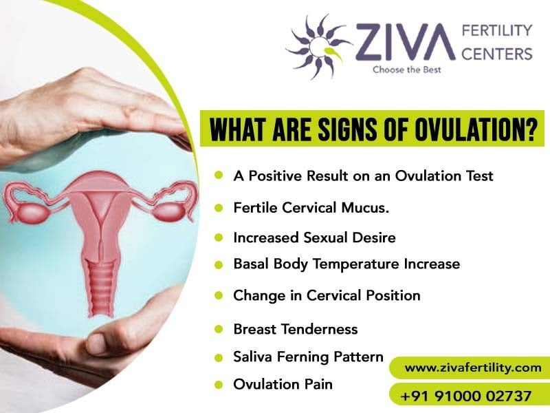 What Are the Signs of Ovulation? What Every Woman Should Know