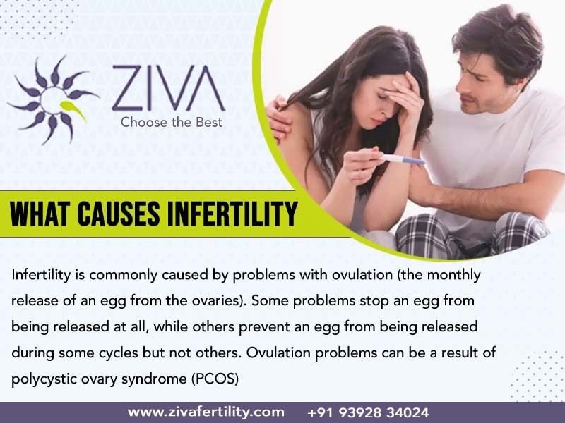 What Causes Infertility?