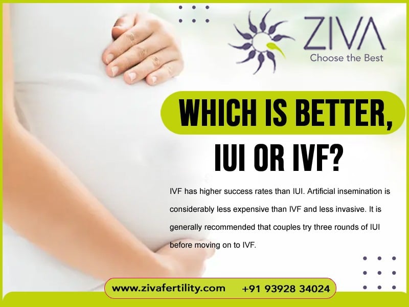 Which is Better, IUI or IVF?