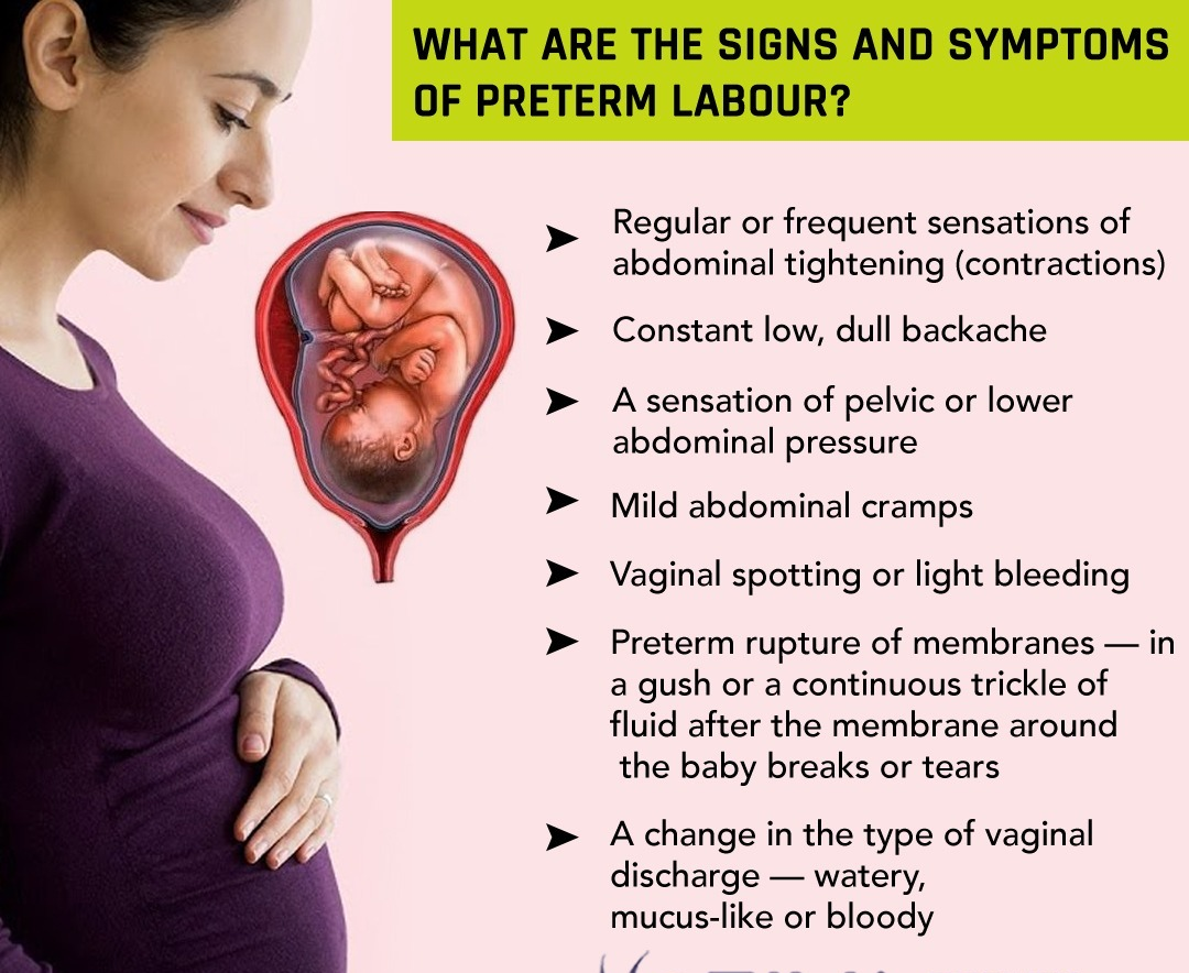 What Are the Signs of Successful Implantation?