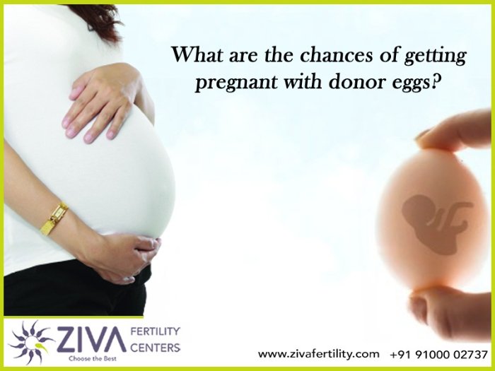 What Are the Chances of Getting Pregnant With Donor Eggs?
