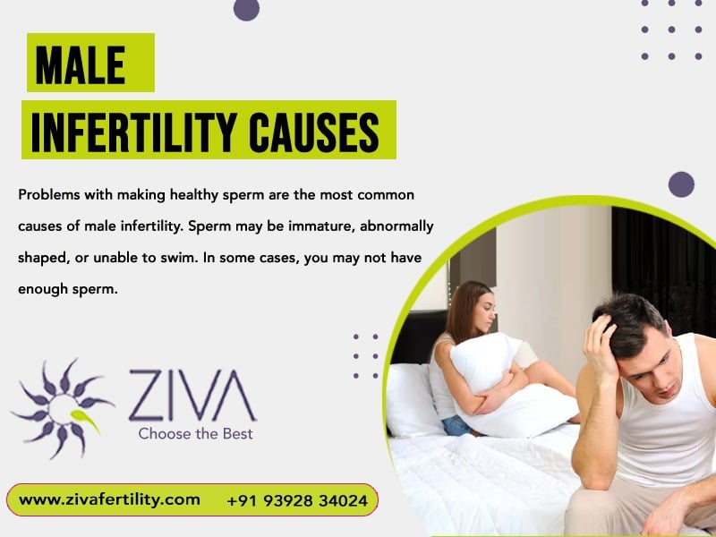 Male Infertility Causes: Understanding the Common Factors