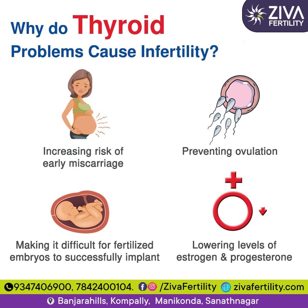 Why Do Thyroid Problems Cause Infertility?