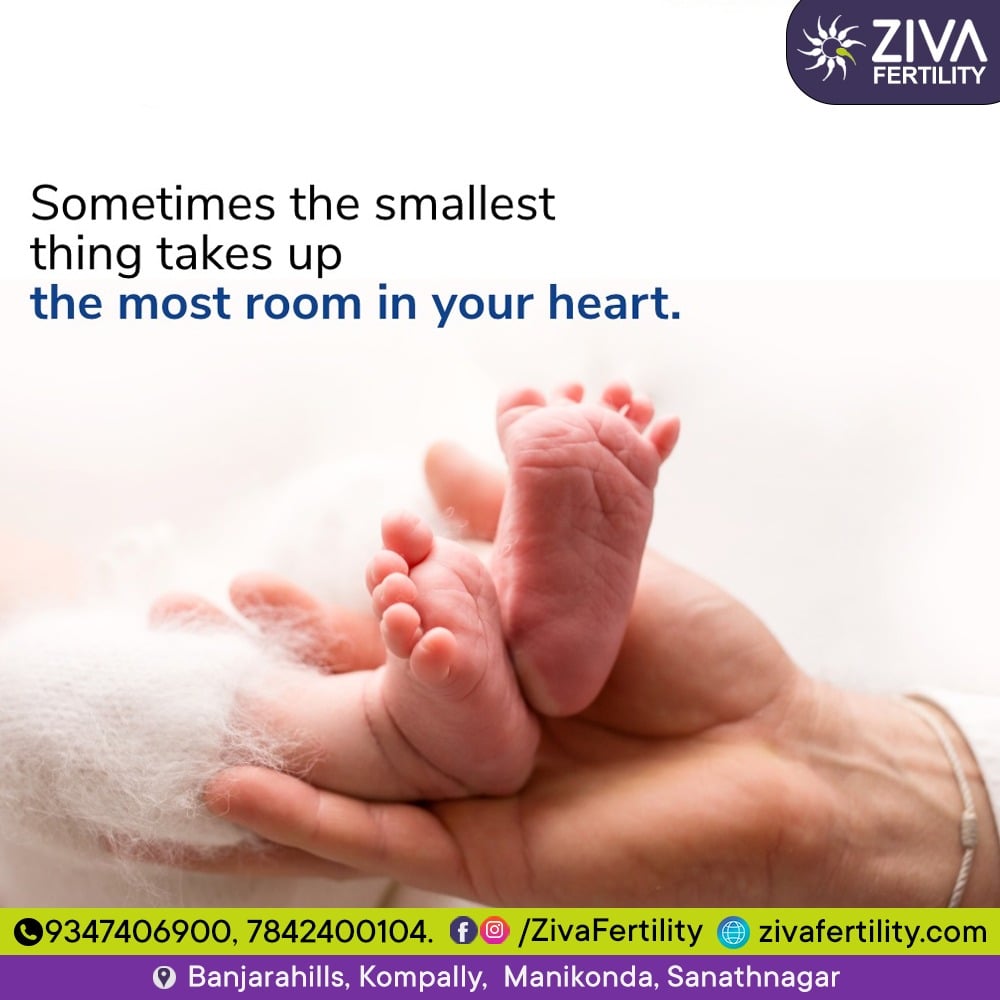 Sometimes the Smallest Thing Takes Up the Most Room in Your Heart