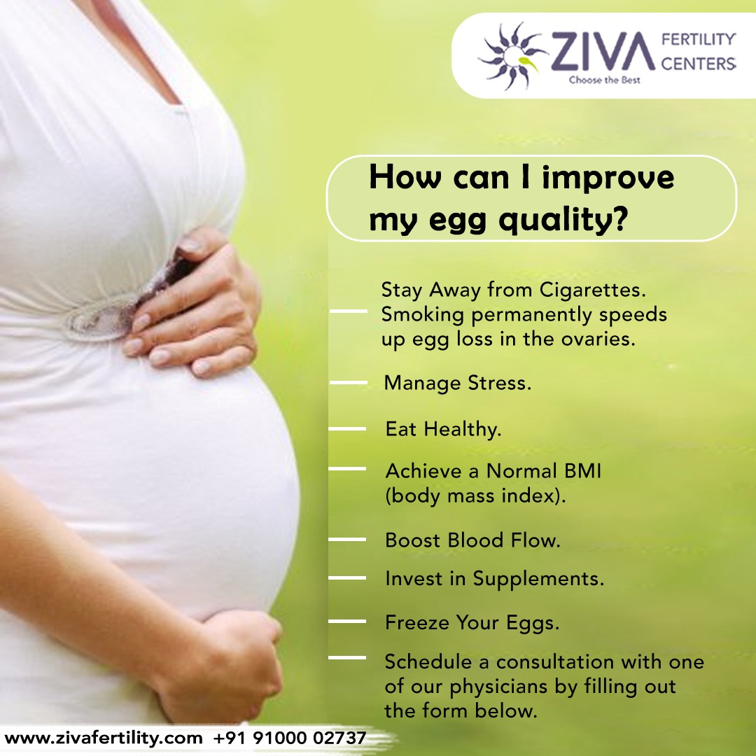 How Can I Improve My Egg Quality?