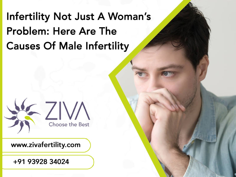 Infertility Is Not Just a Woman’s Problem: Here Are the Causes of Male Infertility