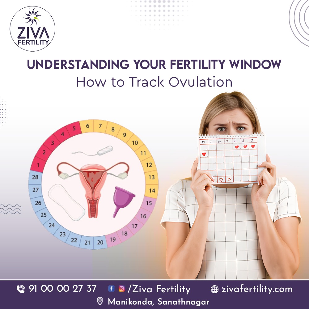Understanding Your Fertility Window: How to Track Ovulation
