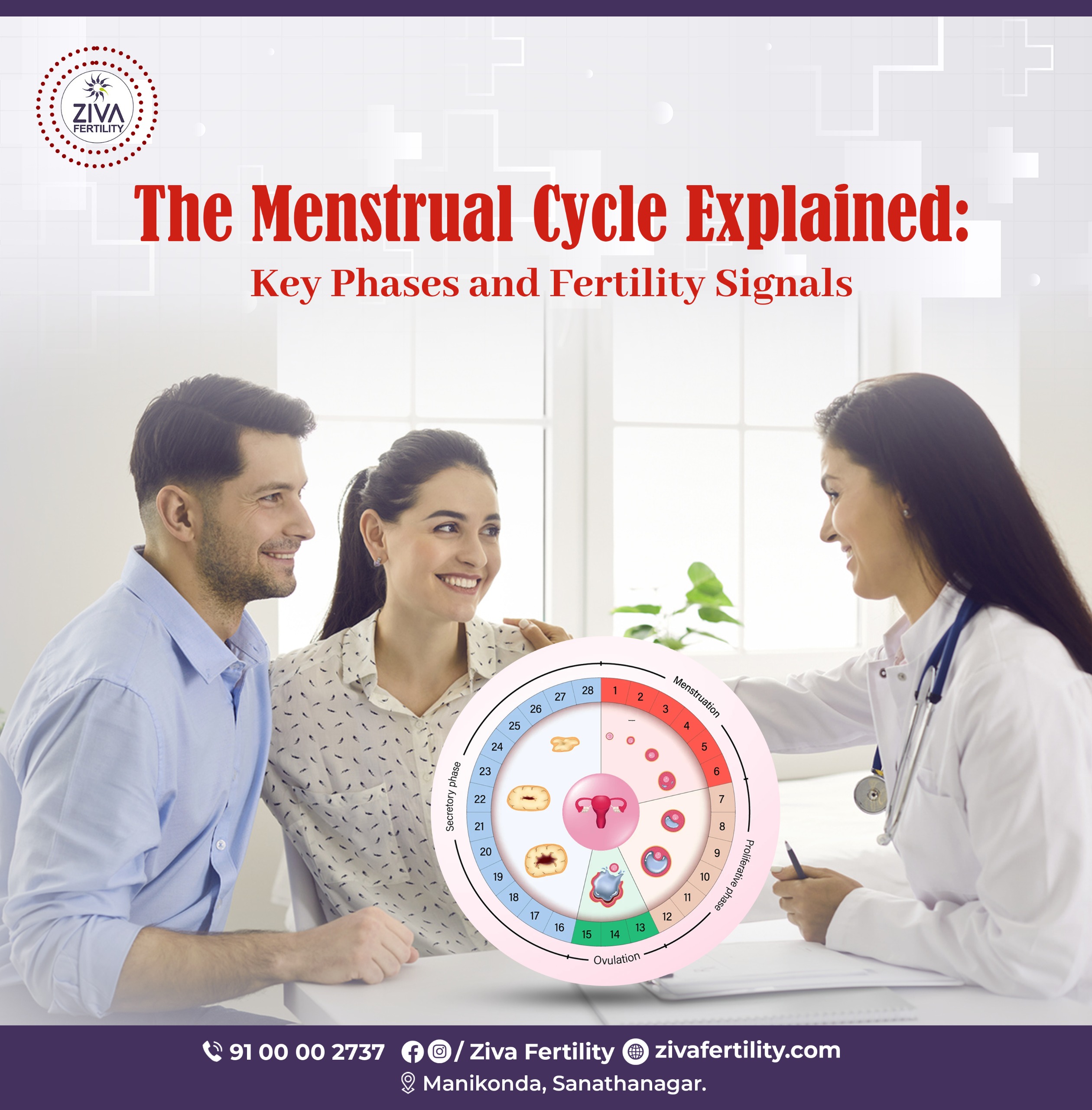 The Menstrual Cycle Explained: Key Phases and Fertility Signals