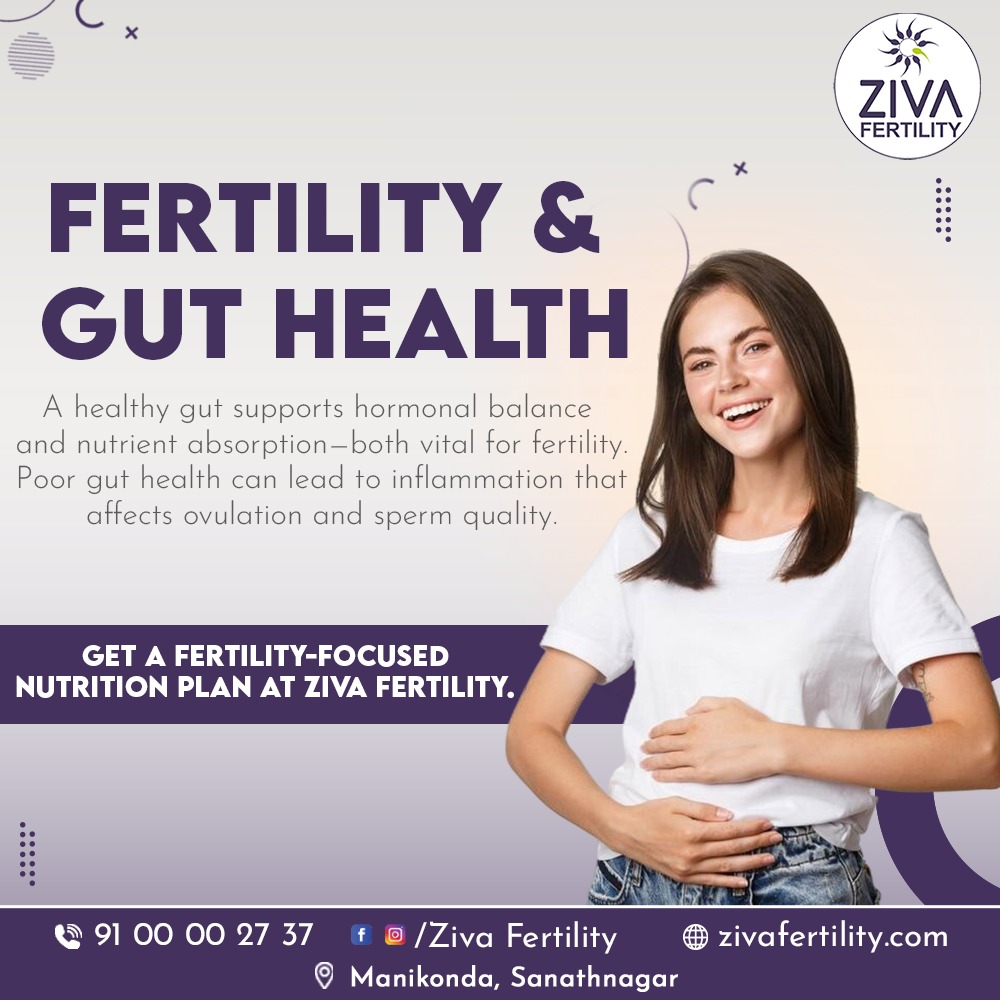 Fertility & Gut Health: The Hidden Connection