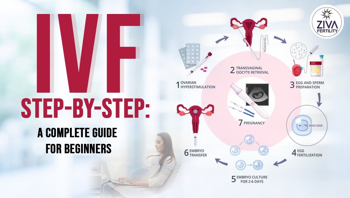 IVF Step-by-Step: A Complete Guide for Beginners at Sidra Family Hospital
