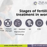 Stages of fertility treatment in women